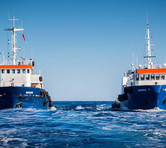 Malta International Shipowners Association